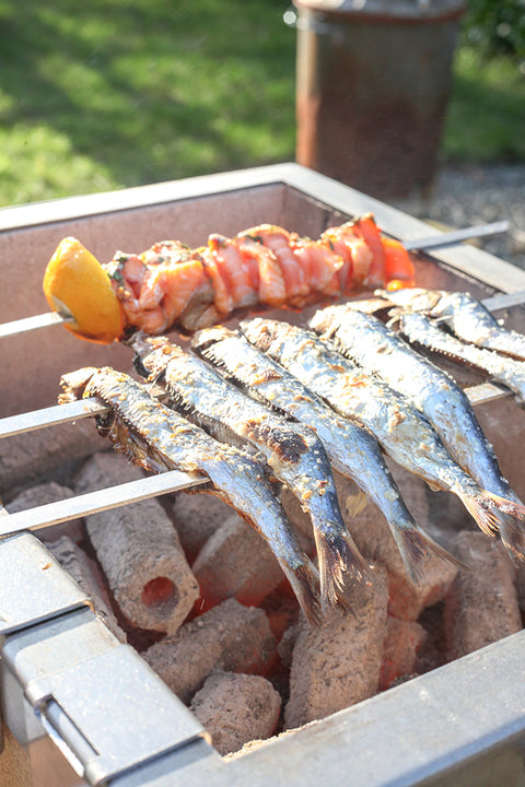 EPTO Skewer Accessory With 6 Skewers