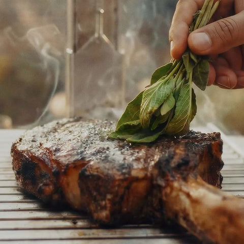 Kasai Konro Asado Grill Top